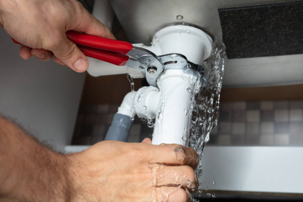 Best Professional water damage repair  in Schulenburg, TX