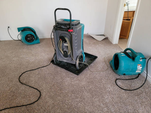 24/7 water damage repair in Schulenburg, TX