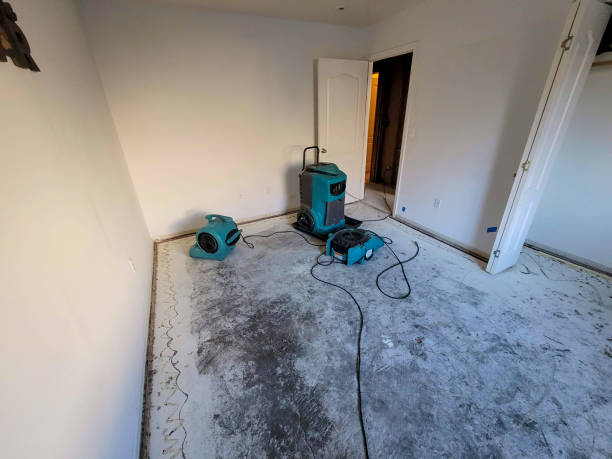 Best Ceiling water damage repair  in Schulenburg, TX