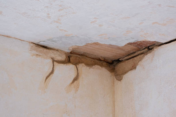 Water damage restoration insurance claims in Schulenburg, TX
