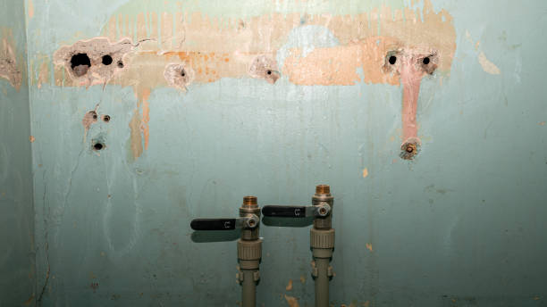 Best Mold removal after water damage  in Schulenburg, TX